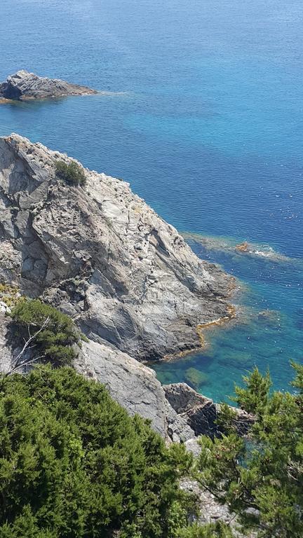 Hostellerie Provencale Port-Cros Exteriér fotografie
